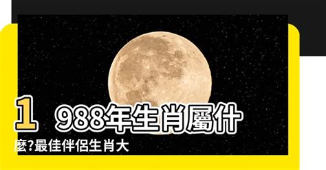 88年屬什麼|生肖查詢：1988年屬什麼生肖？